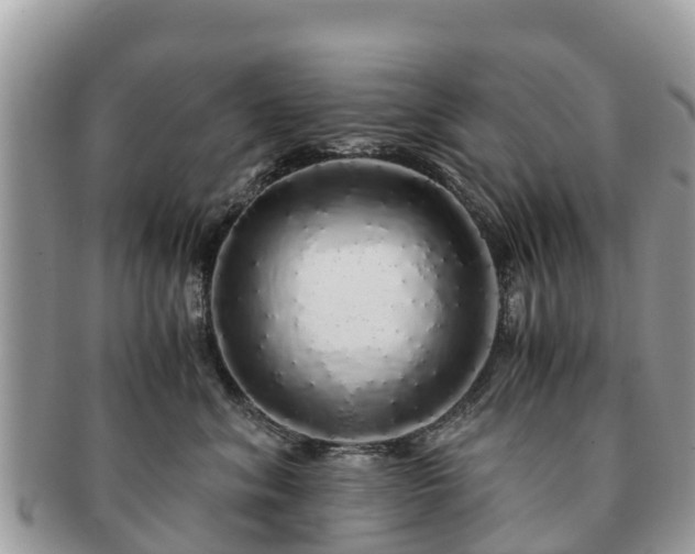 X0000091180620200708161519