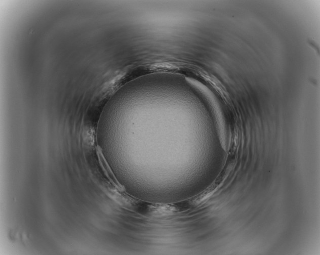 X0000091180621200708161519