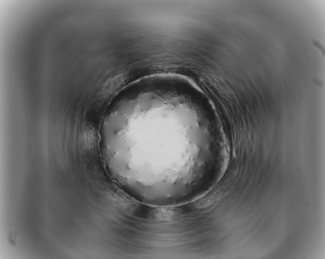 X0000091180623200708161519