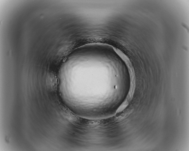 X0000091180624200708161519