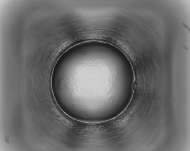 X0000091180625200708161518