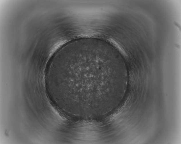 X0000091180626200708161518