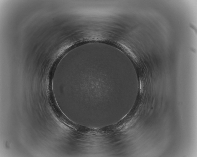 X0000091180627200708161518