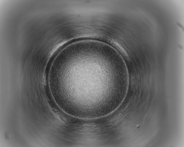 X0000091180628200708161518