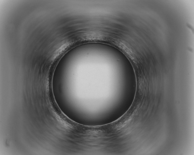 X0000091180629200708161518