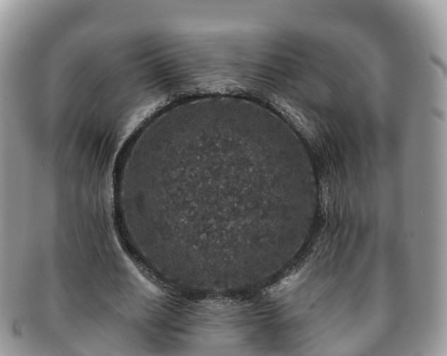 X0000091180630200708161518