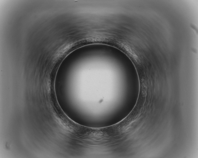 X0000091180631200708161518