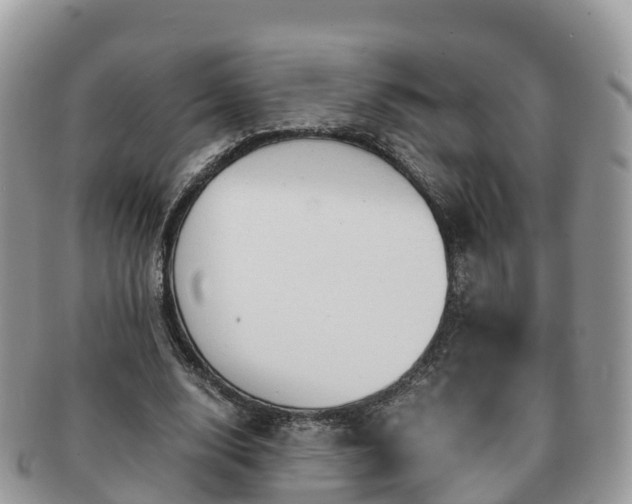 X0000091180632200708161518