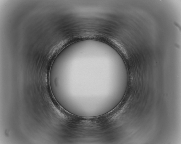 X0000091180633200708161518