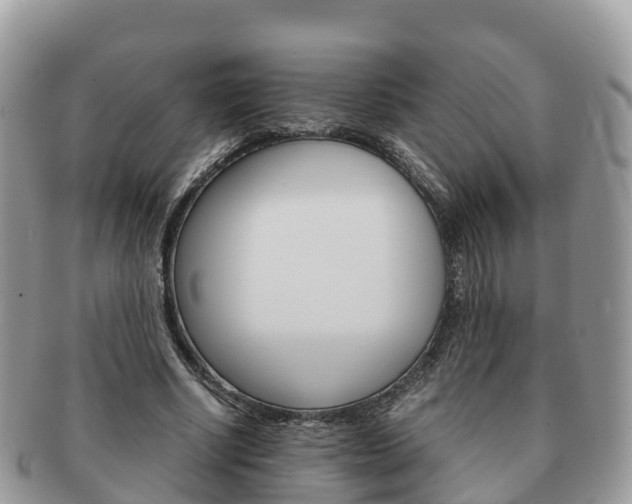X0000091180634200708161518