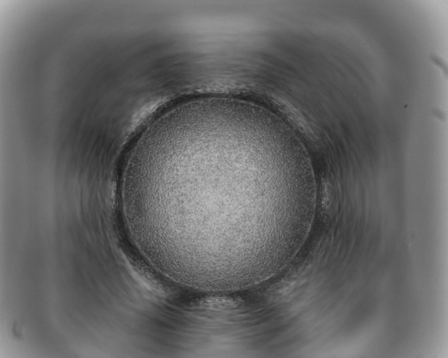 X0000091180636200708161518