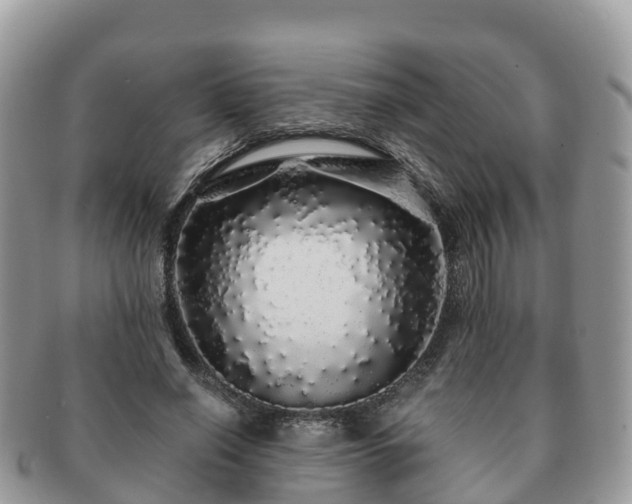 X0000091180638200708161518