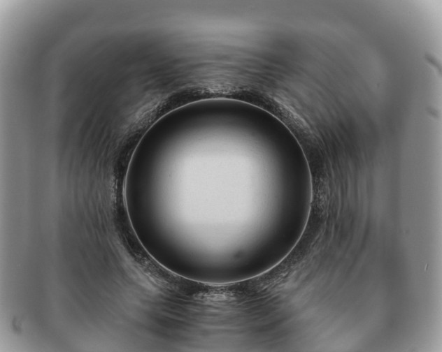 X0000091180639200708161518