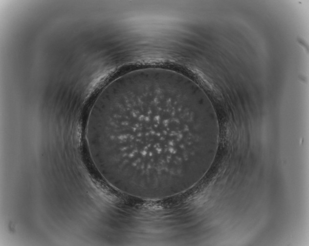 X0000091180640200708161518
