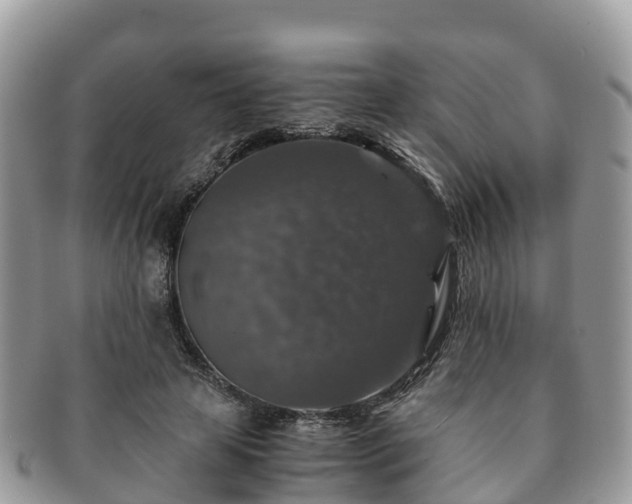 X0000091180641200708161518