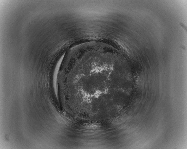 X0000091180643200708161518