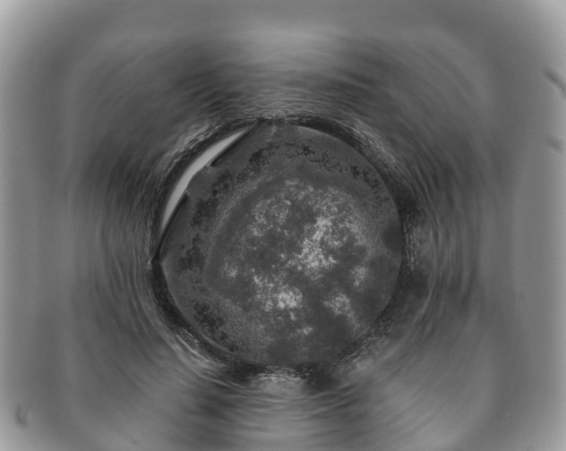 X0000091180644200708161518