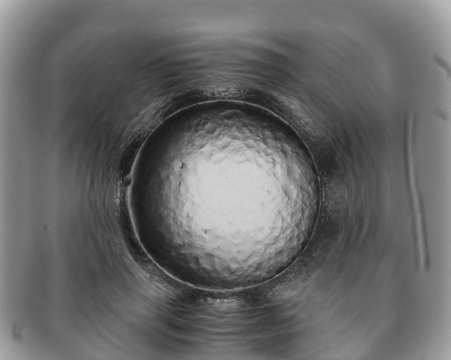 X0000091180645200708161518