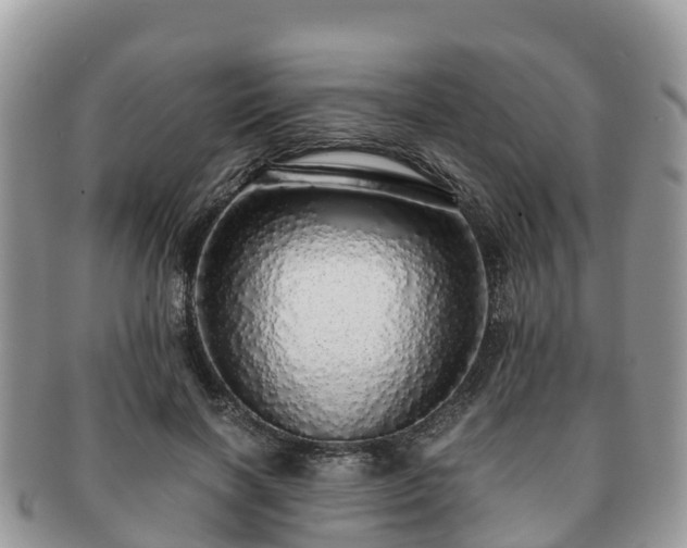 X0000091180646200708161518