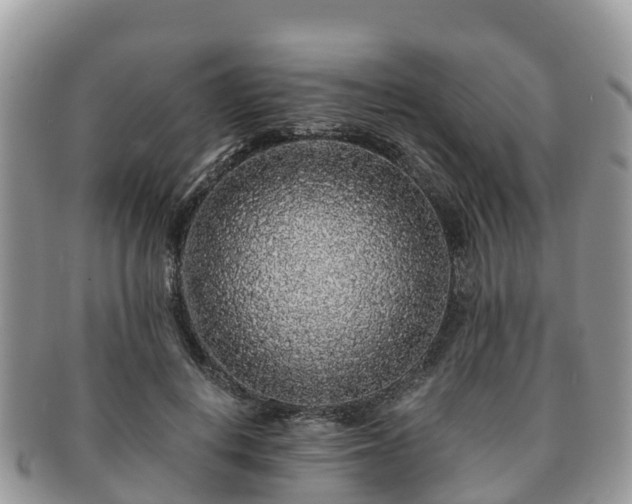 X0000091180648200708161519