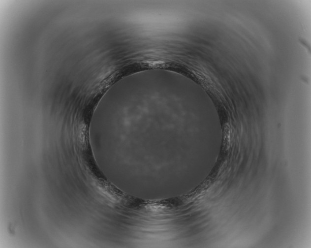 X0000091180650200708161519