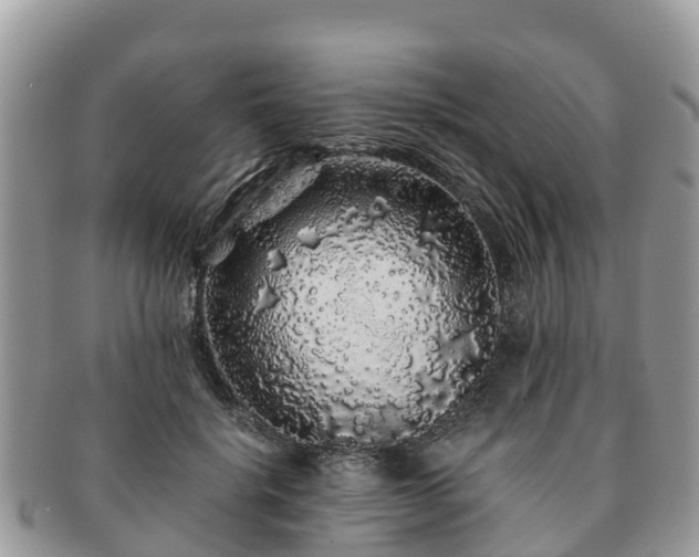 X0000091180652200708161519