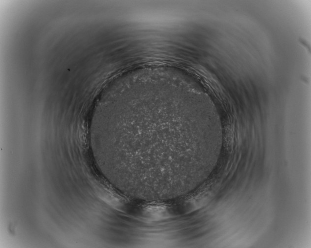 X0000091180653200708161519