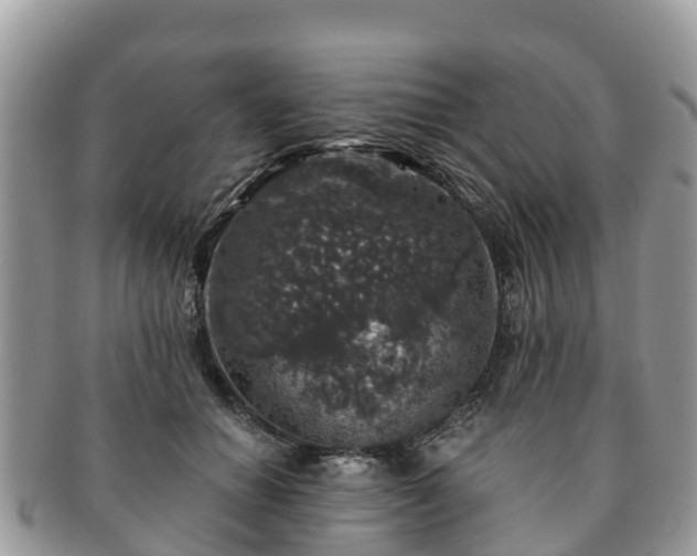 X0000091180654200708161519