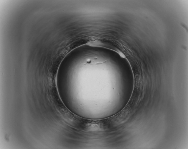 X0000091180655200708161519