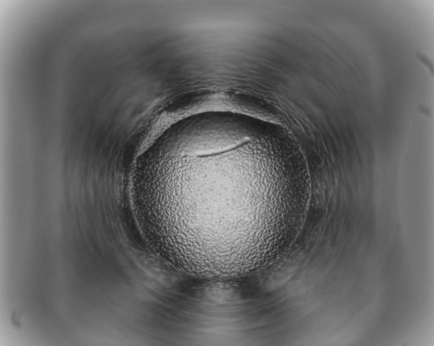 X0000091180656200708161519