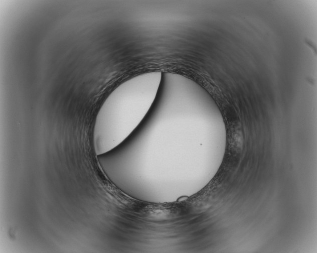 X0000091180658200708161519