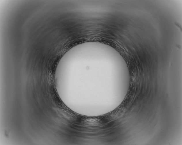 X0000091180659200708161519