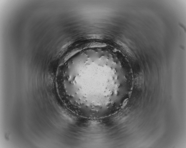 X0000091180662200708161519