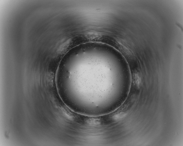 X0000091180664200708161519