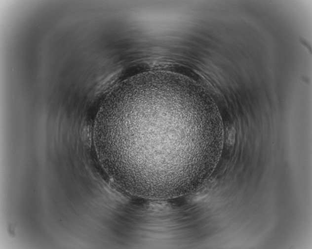 X0000091180666200708161519