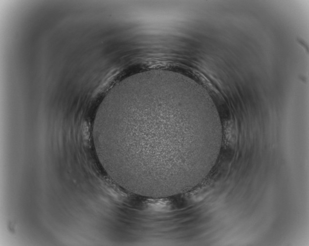 X0000091180667200708161519