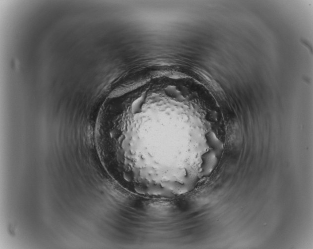 X0000091180669200708161519