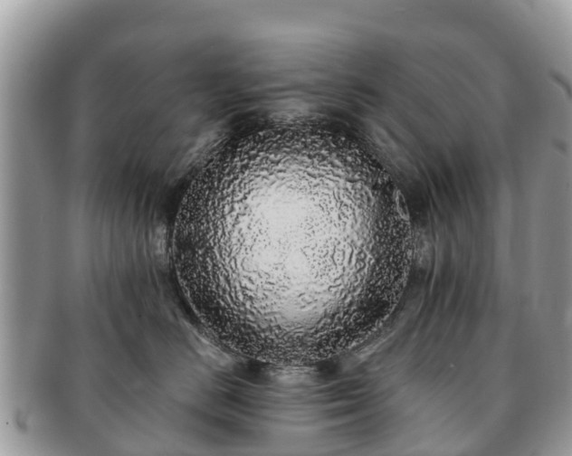 X0000091180670200708161519