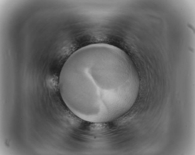 X0000091180672200708161519
