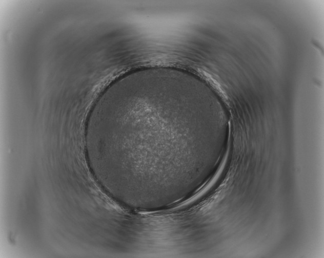 X0000091180673200708161518