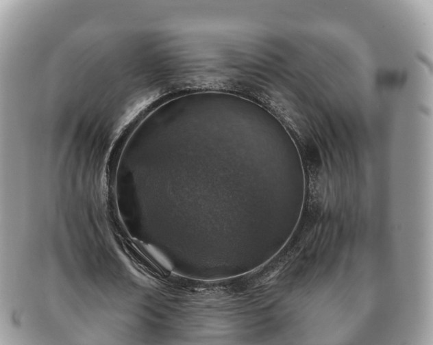 X0000091180674200708161518
