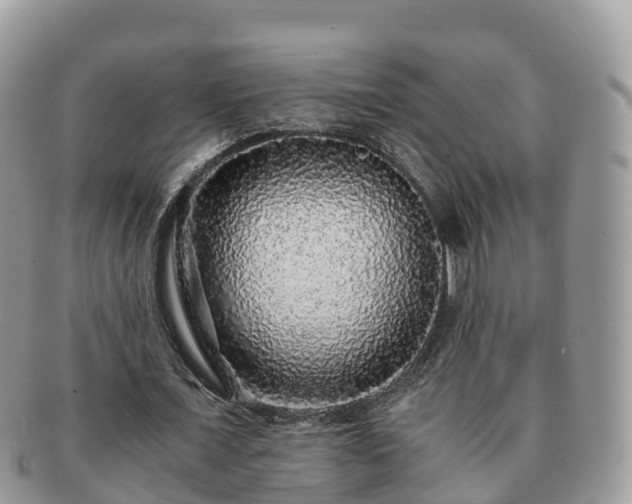 X0000091180675200708161518