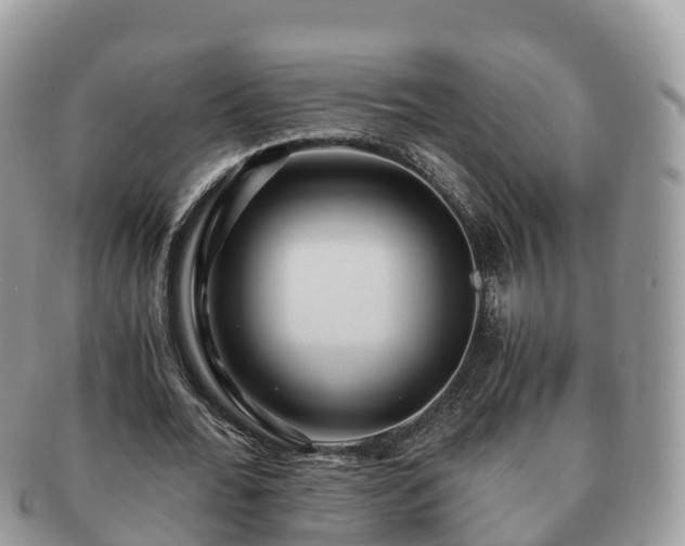 X0000091180676200708161518