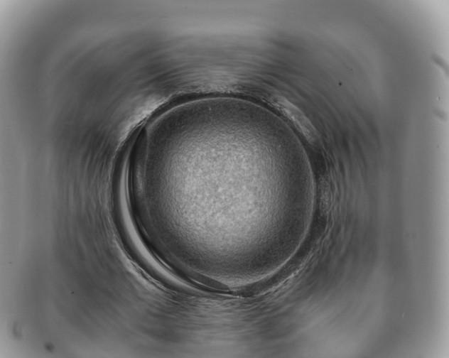 X0000091180677200708161518