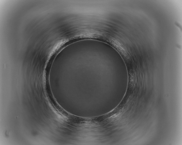 X0000091180678200708161518
