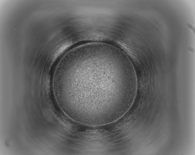 X0000091180679200708161518
