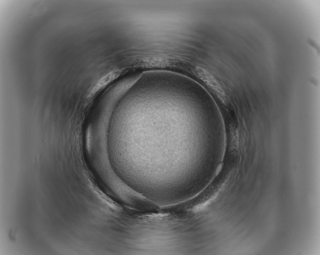 X0000091180681200708161518