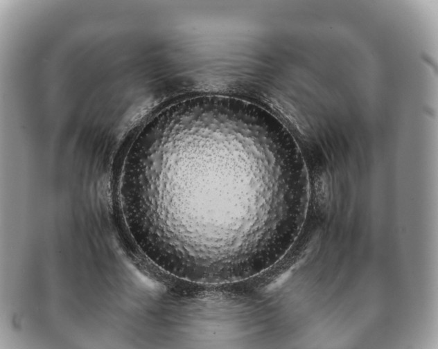 X0000091180682200708161518