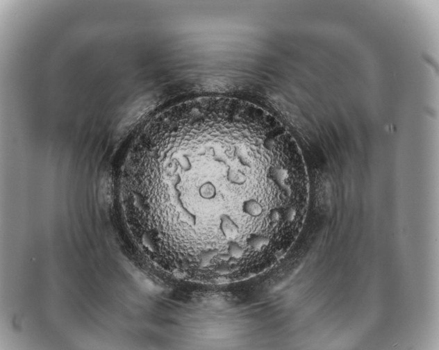 X0000091180683200708161518