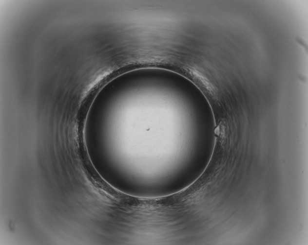 X0000091180684200708161518
